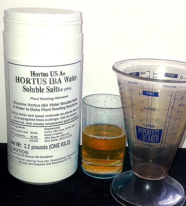 Hortus IBA Water Soluble Salts